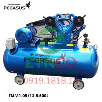 Máy Nén Khí Pegasus TM W-1.05/12.5