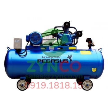 Máy Nén Khí Pegasus TM W-1.6 500L 