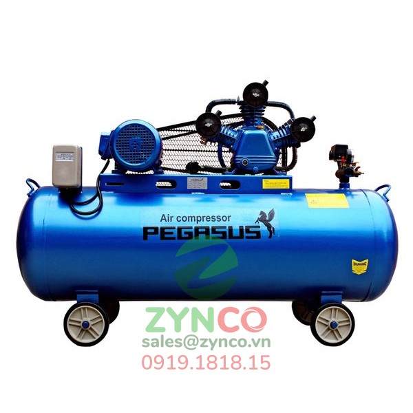 Máy Nén Khí Pegasus TM W-1.6 500L