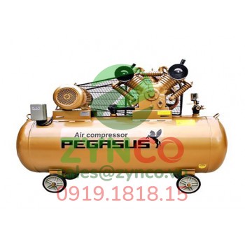 Máy Nén Khí Pegasus TM V-0.6/8 