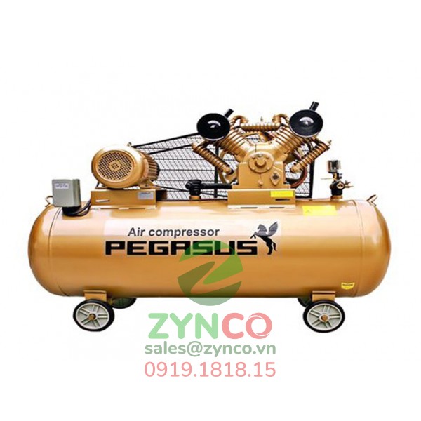 Máy Nén Khí Pegasus TM V-0.6/8