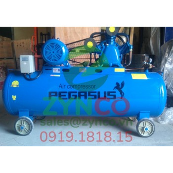 Máy Nén Khí Pegasus TM W-0.67/12.5