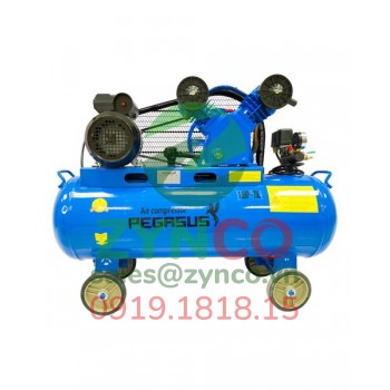 Máy Nén Khí Pegasus TM V-0.12/8 70L 