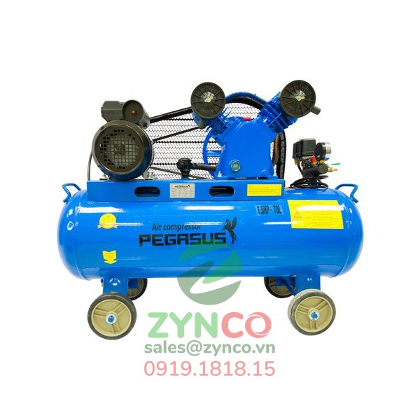 Máy Nén Khí Pegasus TM V-0.12/8 70L