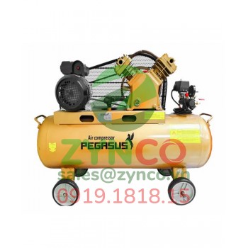 Máy Nén Khí Pegasus TM V-0.17/8 