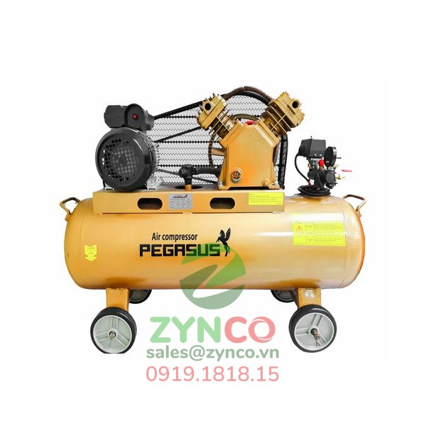 Máy Nén Khí Pegasus TM V-0.17/8