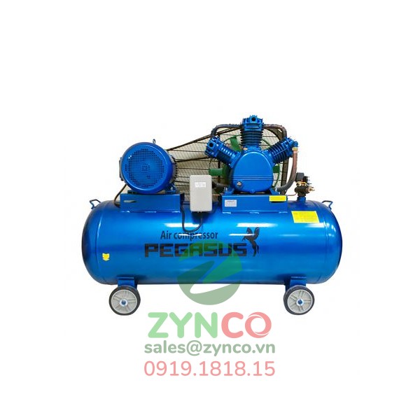 Máy Nén Khí Pegasus TM W-0.36/8 (380V)