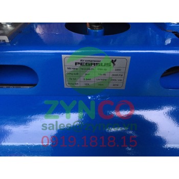 Máy Nén Khí Pegasus TM V-0.25/8