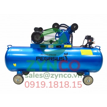 Máy Nén Khí Pegasus TM V-0.25/8 