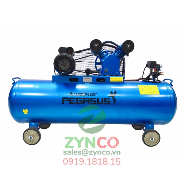 Máy Nén Khí Pegasus TM V-0.25/8 (380V)