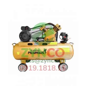 Máy Nén Khí Pegasus TM V-0.25/8 (380V)